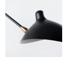 Two-Arm Wall Sconce