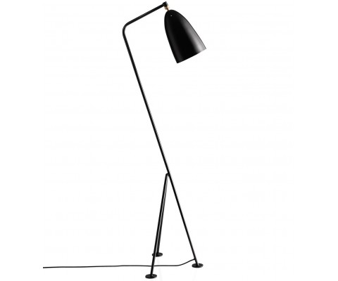 Grasshopper Floor Lamp
